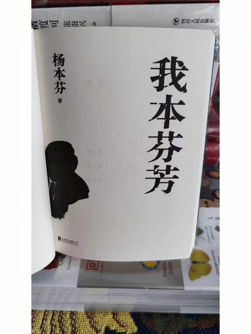 金宝罗离婚事件全解析:从童话到现实的婚姻启示